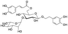 Isoacteoside