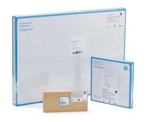 Gruppe-Whatmanpapier-1000Wx1000H.jpg