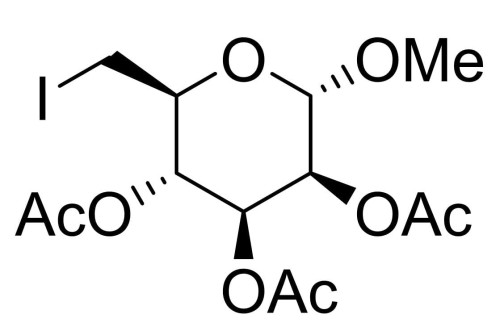 ICHO-00014.JPG