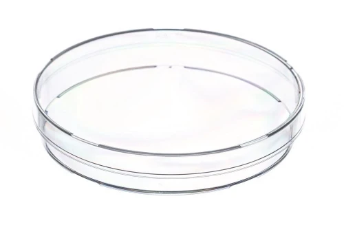 EL45_plastikowa_szalka_petriego_PS_.webp