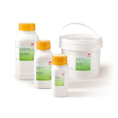 Gruppe-Agar-Agar.webp