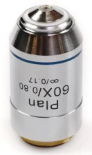 Obiektyw Infinity 60x planachromatyczny, (sprężynu