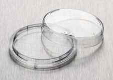 Contact dishes O 65 x H 15 mm, sterile, without ve