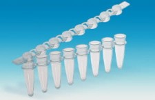 Probówka PP 0,2 ml PCR (125 szt.)