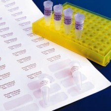 Etykiety krio, 67 x 25 mm, Diversified Biotech