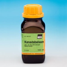 Balsam kanadyjski