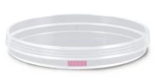 Cell culture dishes Standard, 21 cm2, 5 ml, 60 mm