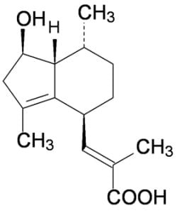 24834_24489