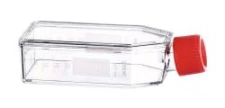 Butelki do kultur komórkowych CELLSTAR 50 ml