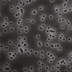 97222d00b295286cfee0d6f6f298d80a