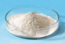 Casein hydrolysate, for molecular biology
