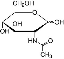 N-Acetyl-D-glucosamine min. 99 %, for biochemistry