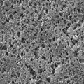 9044_13908