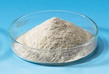 Bovine Serum Albumin (BSA) Fraction V >=98%