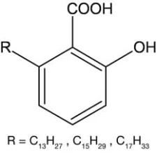 Ginkgolic acids RN Rotichrom HPLC