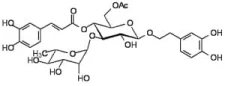 6-O-Acetylacteoside ROTICHROM® HPLC >99 %