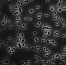 Fitr PC 0,4/13 biały (100 szt.)