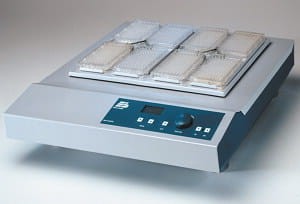 56403_20234