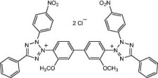 p-Nitrotetrazolium blue chlorid +98%, p.a.
