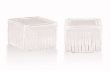 Barwiacze poziome Schiefferdeckera PMP