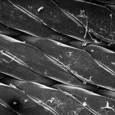 Filtry Millex®-GS, porowatość 0,22