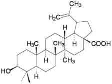Betulinic acid ROTICHROM HPLC