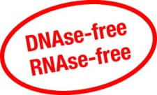 D(+)-Saccharose >=99,5 %, RNAse/DNAse free