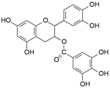 (-)-Epicatechingallat HPLC