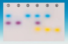 Roti-Load DNA 1 X z glicerolem 5 X 1ml