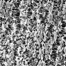 Filtr PTFE  0,45/13 ( 100 sztuk)