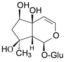 Harpagid