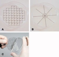 Quadratraster (36 szt.)