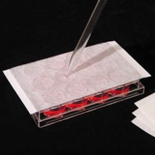 Błona uszczel. do kultur kom-Rotilabo (2X25szt.)